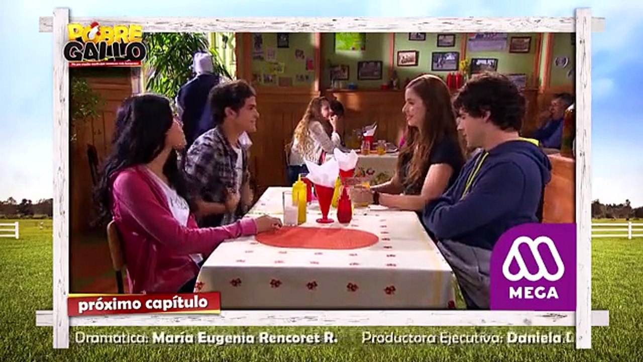 135 Avance Pobre Gallo