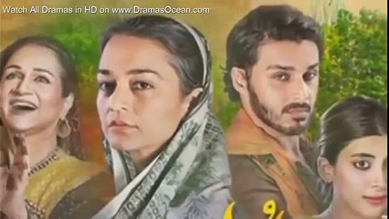 Udaari Episode 15 Full Hum Tv - 17 July 2016