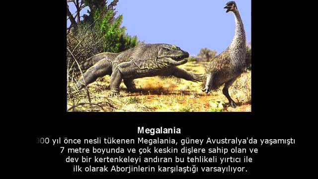 NESLİ TÜKENMİŞ 10 GERÇEK CANAVAR HAYVAN