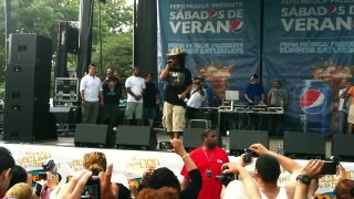 Tego Calderon concierto en Washington Heights (2011) #10