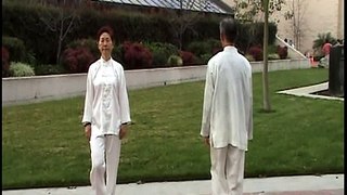 Two people mirror Tai Chi form 24