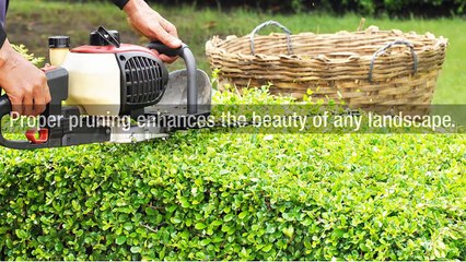 Jim’s Mowing – The World’s Largest Garden Care Franchise System