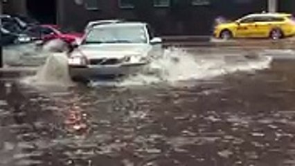 Un automobiliste va abandonner son véhicule, pour porter secours à un chaton pris au piège dans des inondations causée p