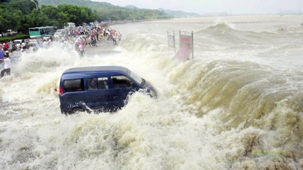 10 ВИДЕО, КОТОРЫЕ ТЕБЕ НУЖНО ПОСМОТРЕТЬ!