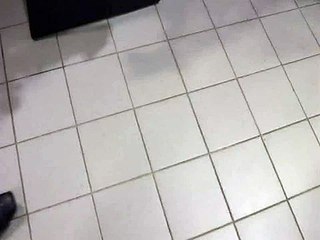 Export MPEG2 of 2008-10-08_112803.mpg