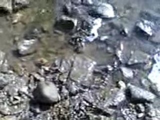 Little Beach at Branford Point, Branford, Ct.6-22-08