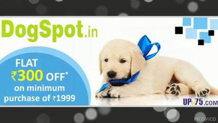 Canine Training San Marcos