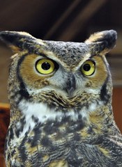 네임드홀짝 축구경기분석 SuperCar777。com 가입코드6623 해외스포츠배팅