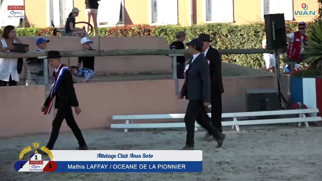 Attelage Club Anes Solo