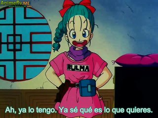 Dragon Ball Momentos Divertidos #3