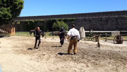 Spectacle en Ville Close : la légende du Triskell