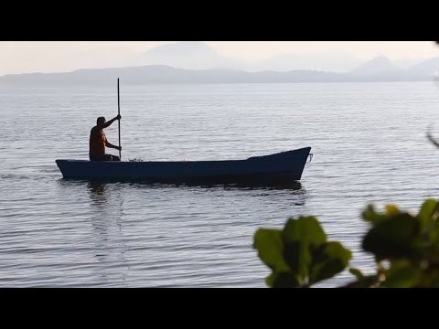Negócio bilionário no Rio ameaça reserva ambiental