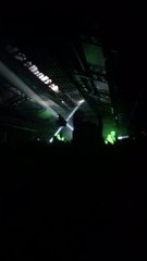 Peacock -sven vath
