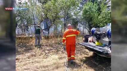 Andria: le guardie federiciane spengono incendi e salvano le querce