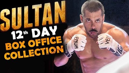 Descargar video: Sultan 12th Day Box Office Collection | Salman Khan, Anushka Sharma