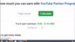 How much you earn on 1000 views from youtube Partner