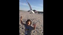 Child vs gulls (Slow motion)