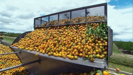 Cette famille mange bio uniquement pendant 2 semaines, voici le résultat étonnant de l’expérience !