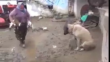 یہاں پر تو یہ فیصلہ کرنا ہی مشکل ہو رہا ہے کہ یہ حلال ہے کہ حرام