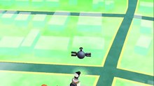 Pokemon Go enjoy
