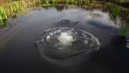 Construction d'une piscine / marre naturelle dans le jardin !