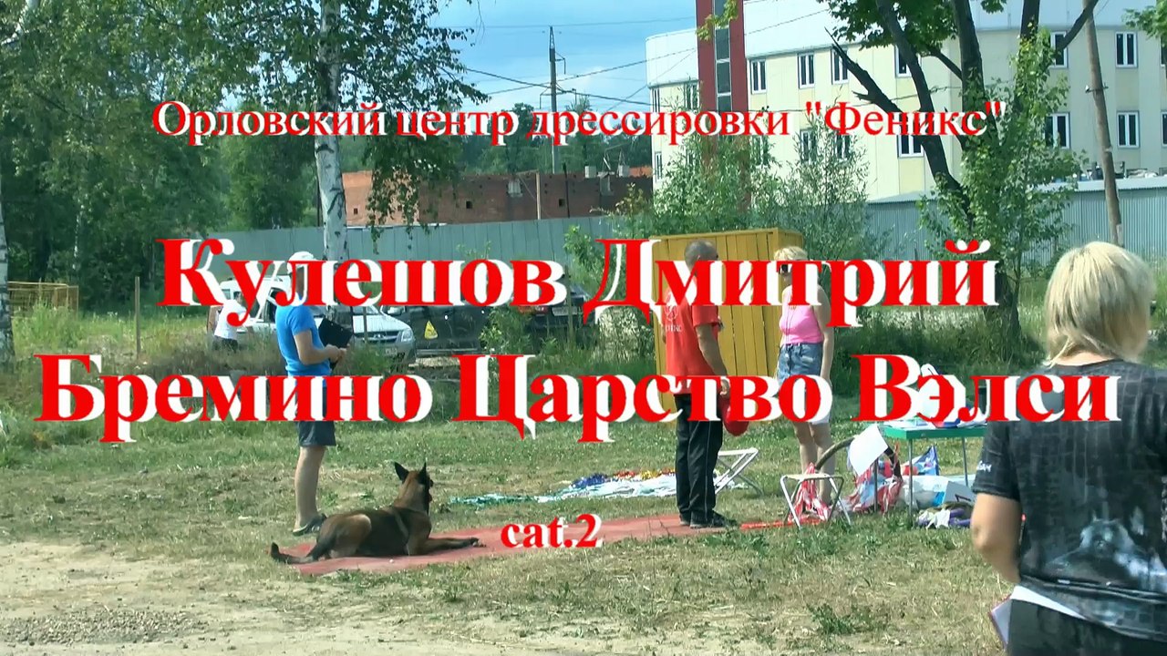 Кулешов Дмитрий и Бремино Царство Вэлси на соревнования по Mondioring