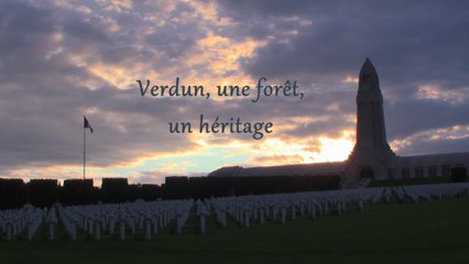 Verdun, une forêt, un heritage