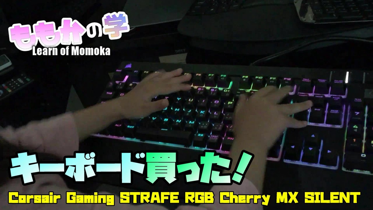 【Study】Dad had bought a new keyboard! パパが新しいキーボードを買っちゃった！