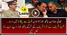 See What Arif Bhatti Reveals About Nawaz Sharif's And shahbaz Sharif's Meeting