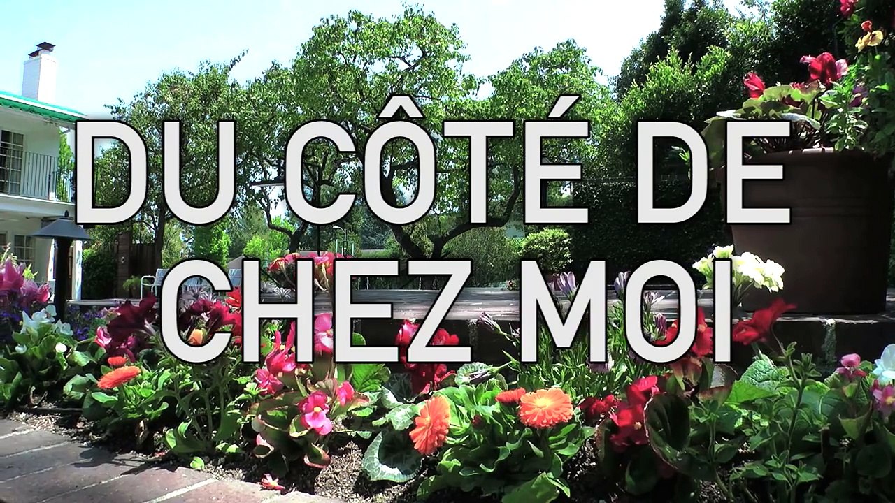 MISTER V - AVOIR UN GOSSE