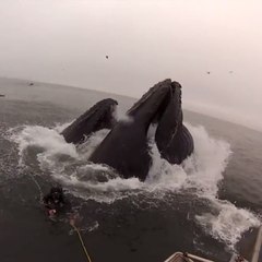 Dois mergulhadores temem pela vida