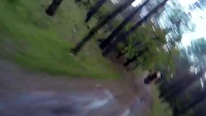 Une course poursuite incroyable entre un ours et un cycliste