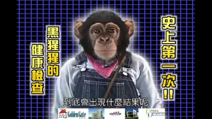 pan and james- monkey and dog story in japanese (episode 04)