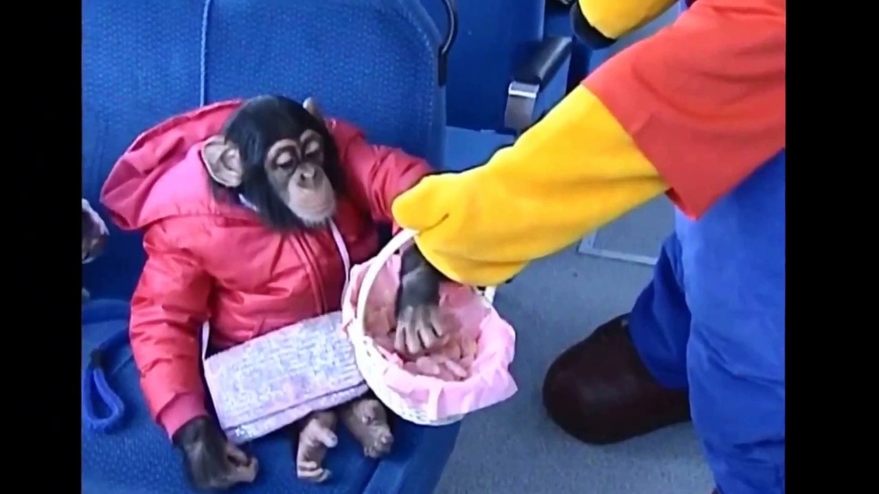 [1080p] Super Monkey & Lovely Dog Season 01, Ep 14