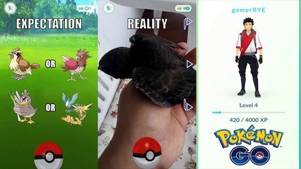 Pokemon GO is not how I expected it to be :( Video Video