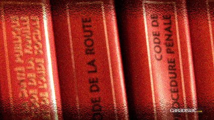 Loi - Radars automatiques : quand les clichés ne permettent pas de reconnaître son véhicule...