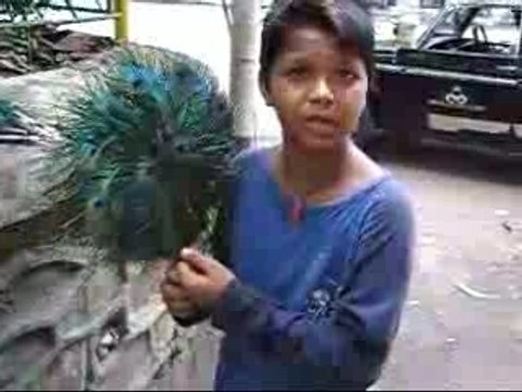 Indian speaks different language