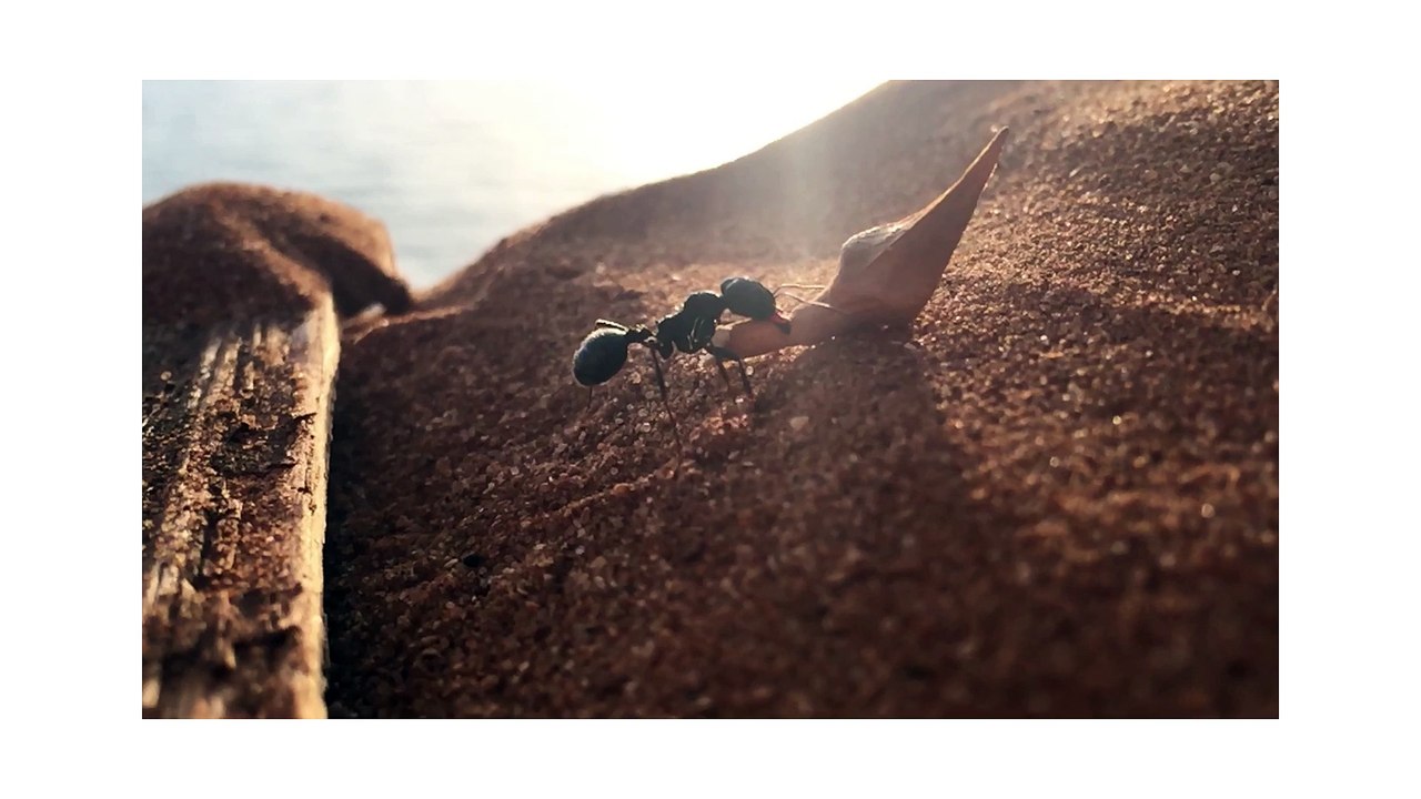 Shot on iPhone by Tim W.