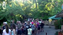 Skull Island Reign of Kong ride POV, Orlando Florida