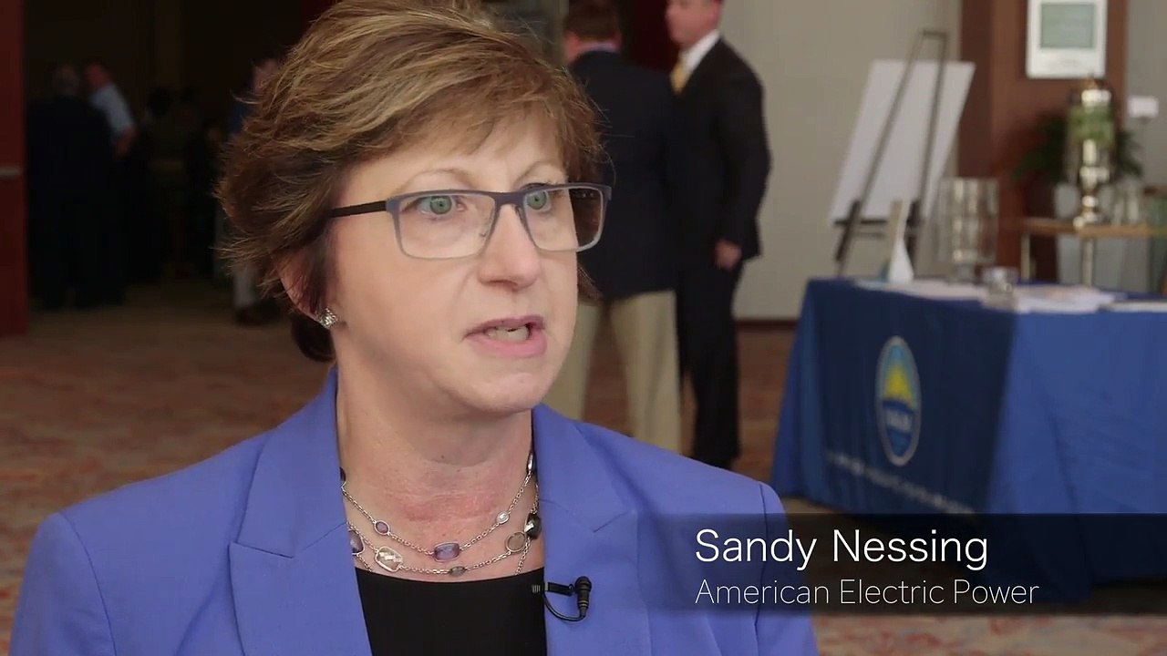 Sandy Nessing Describes Her Role as Head of Sustainability for American Electric Power Co. Inc. | NAEM