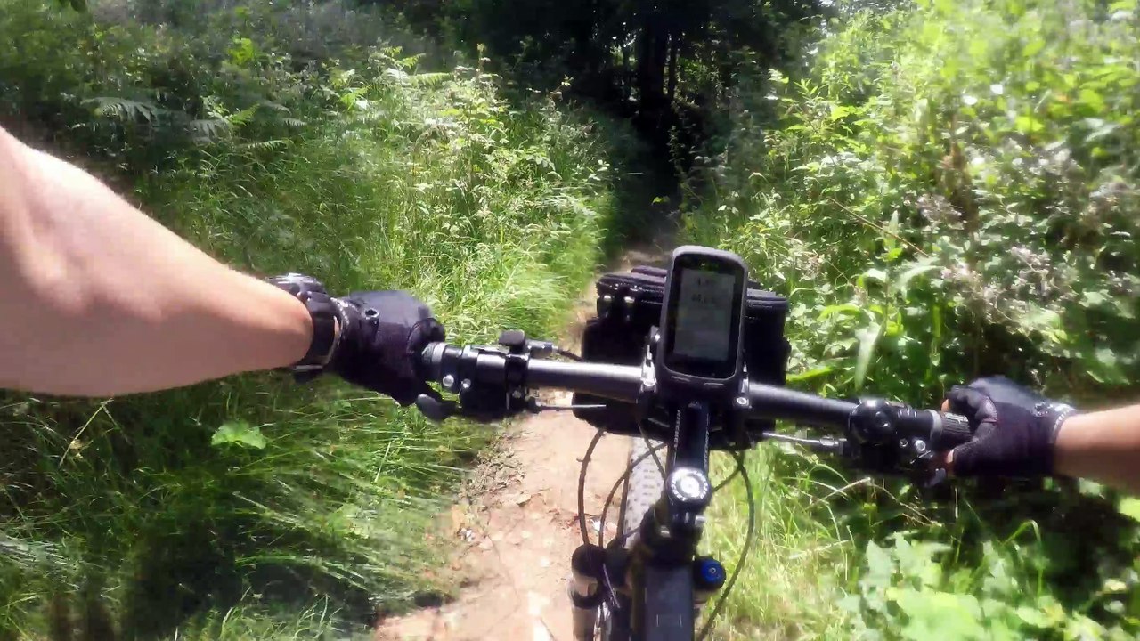 Camino de Santiago. Ruta del Norte. De Irun a Fisterra. Primera parte Irun, Hendaya, Pais Vasco y Cantabria