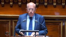 Débat sur le revenu de base au sénat (19 mai 2016)