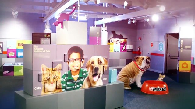 Purina Farms Opens “Better with Pets,” an Interactive and Inspirational Exhibit Exploring Life with Dogs and Cats
