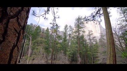 Who We Are Is What We Leave Behind: Convenience | Subaru of America