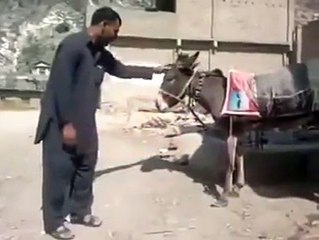 ھاھاھا ویسے ان دونوں میں فرق دم کا ہے