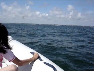 Ballade avec les dauphins N°5