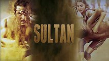 7 Silly Mistakes In Sultan Movie    Salman Khan    Anushka Sharma