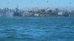Kayakers Spot Whales Feeding in San Francisco Bay