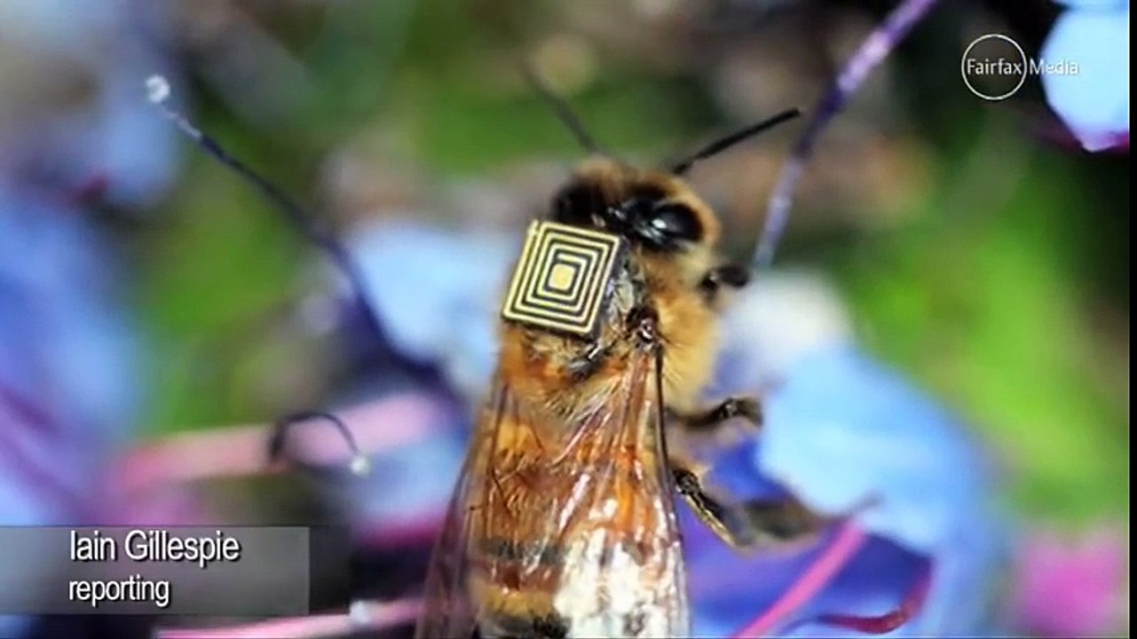 Cientistas Afirmam que os Implantes de Microchips RFID em Seres Humanos Não Serão Opcionais