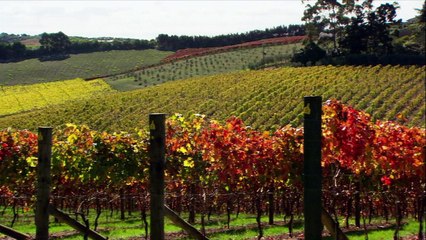 Pete's Dragon - Official "Story" Featurette [HD]